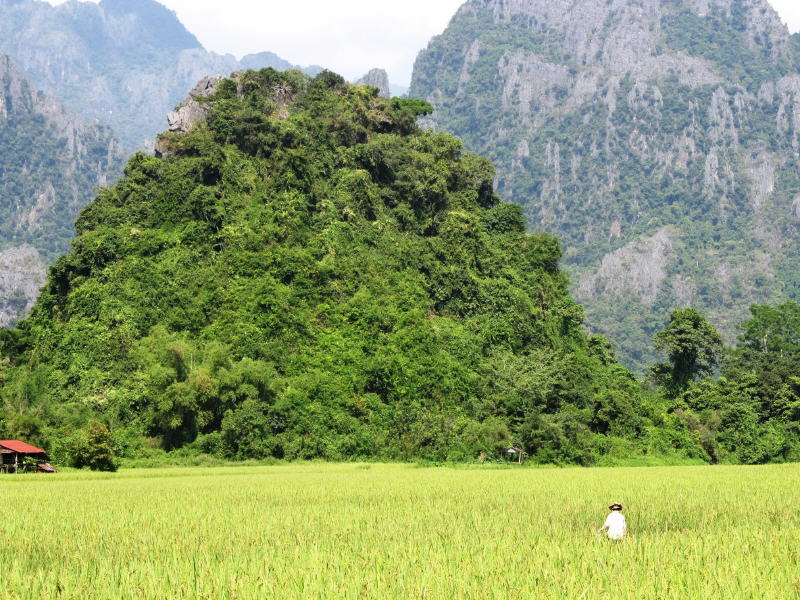 Pictures from Laos
