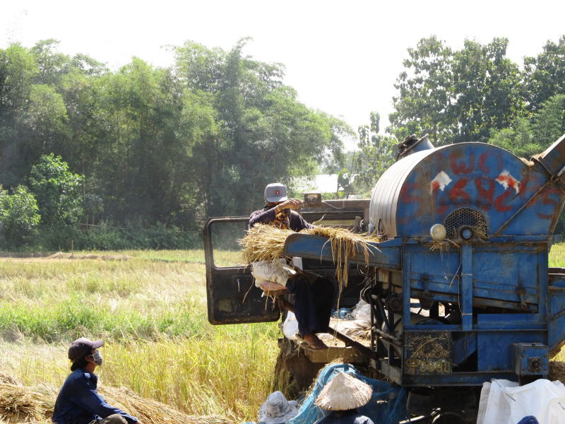 Pictures from Laos