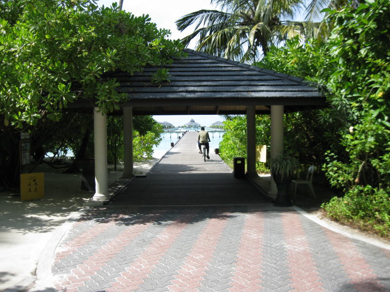 Pictures from the Maldives