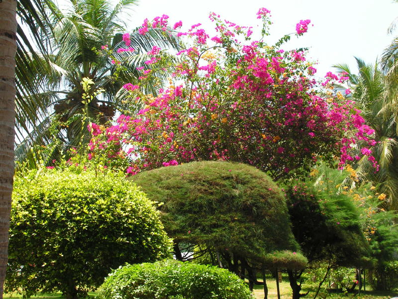 Pictures from the Maldives