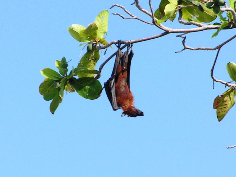 Pictures from the Maldives