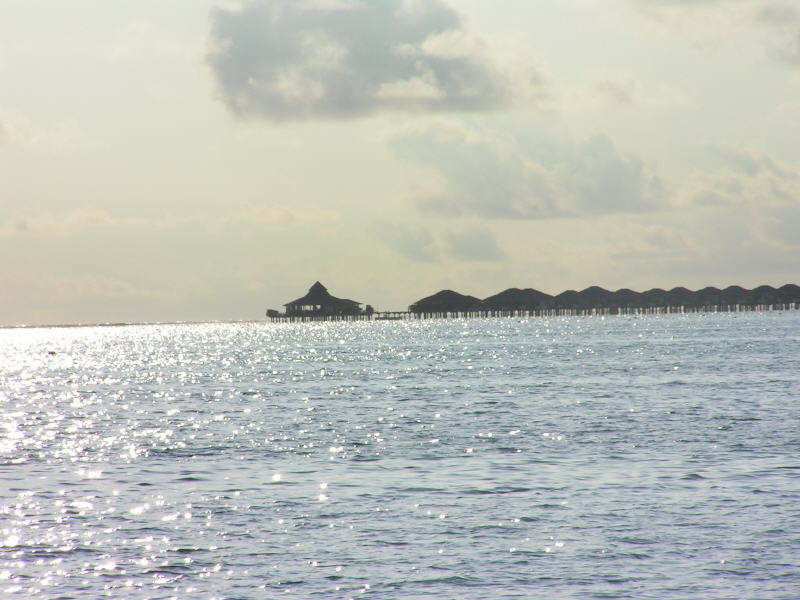 Pictures from the Maldives