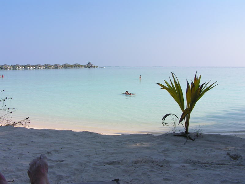 Pictures from the Maldives