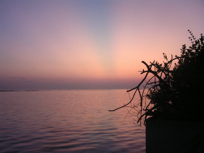 Pictures from the Maldives