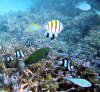 Pictures from the Maldives