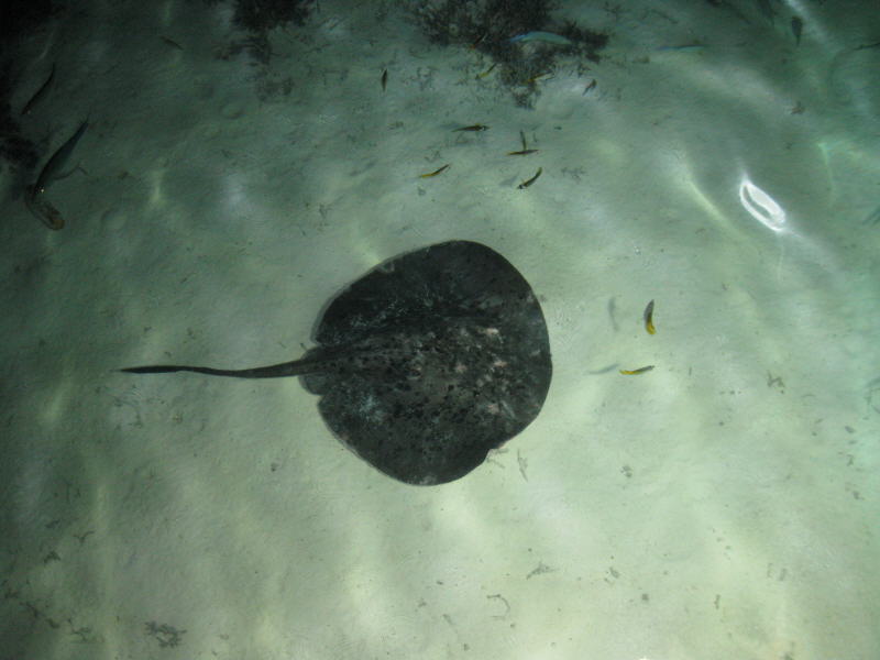 Pictures from the Maldives