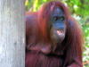 Pictures from Brunei