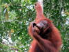 Pictures from Brunei