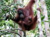 Pictures from Brunei