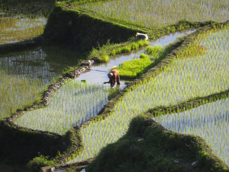 Pictures from the Philippines