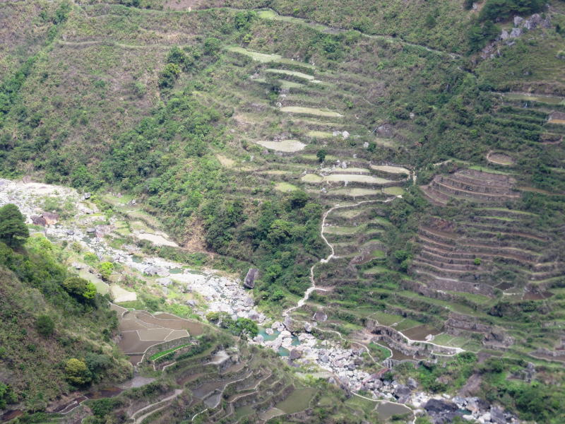 Pictures from the Philippines