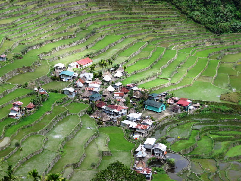 Pictures from the Philippines