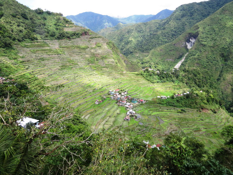 Pictures from the Philippines