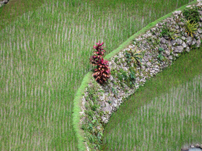 Pictures from the Philippines