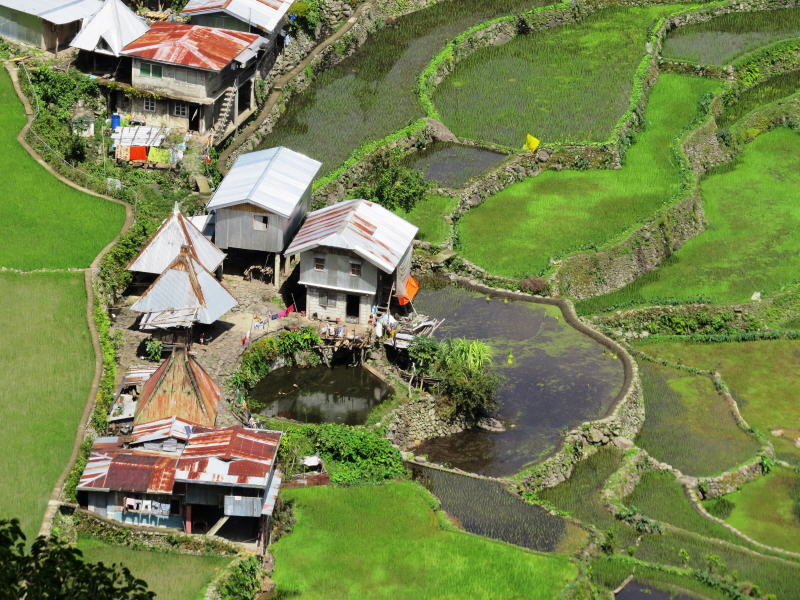 Pictures from the Philippines