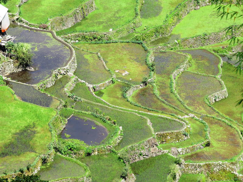 Pictures from the Philippines