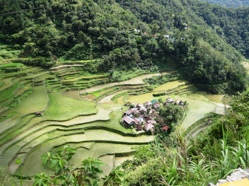 Pictures from the Philippines