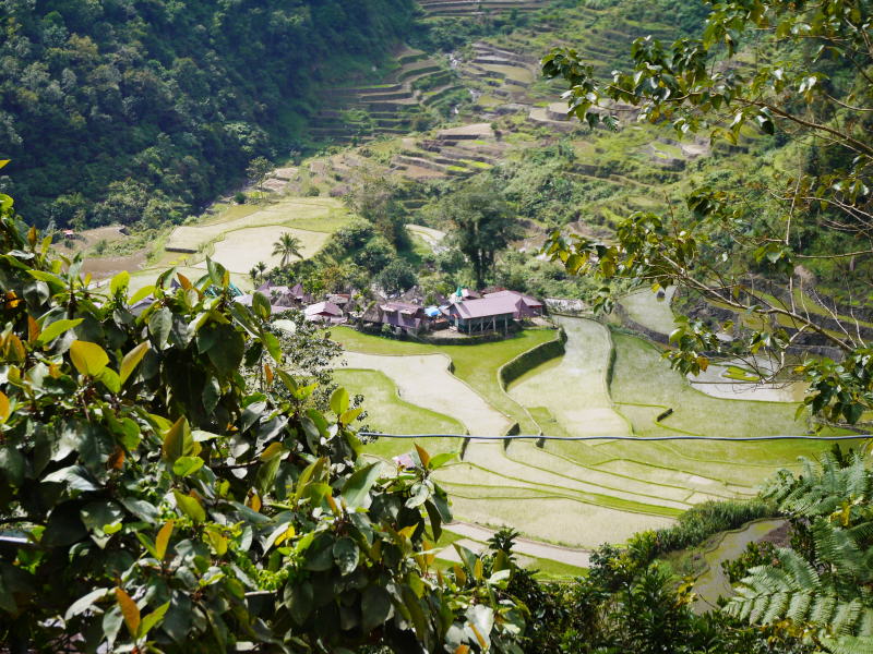 Pictures from the Philippines