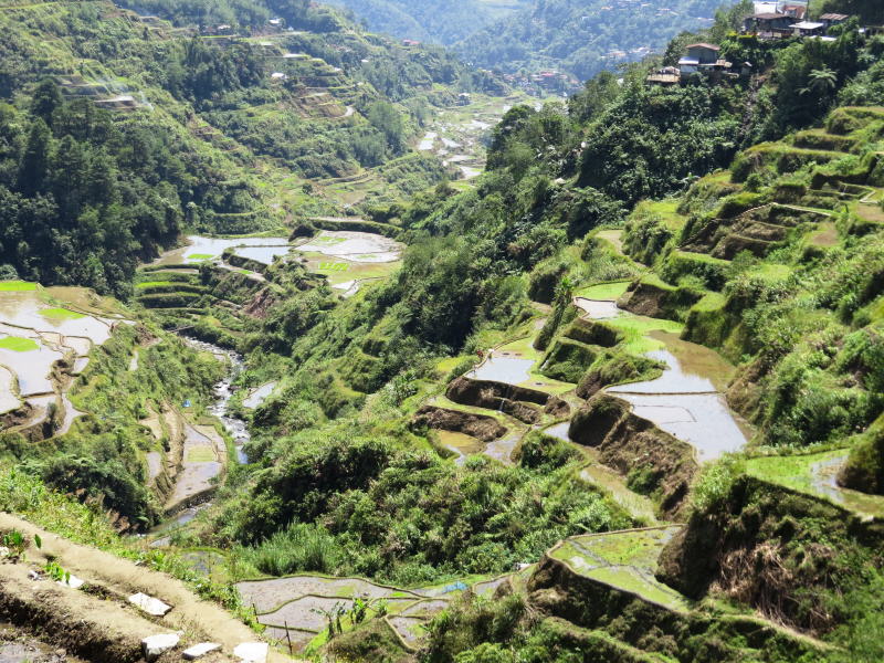 Pictures from the Philippines