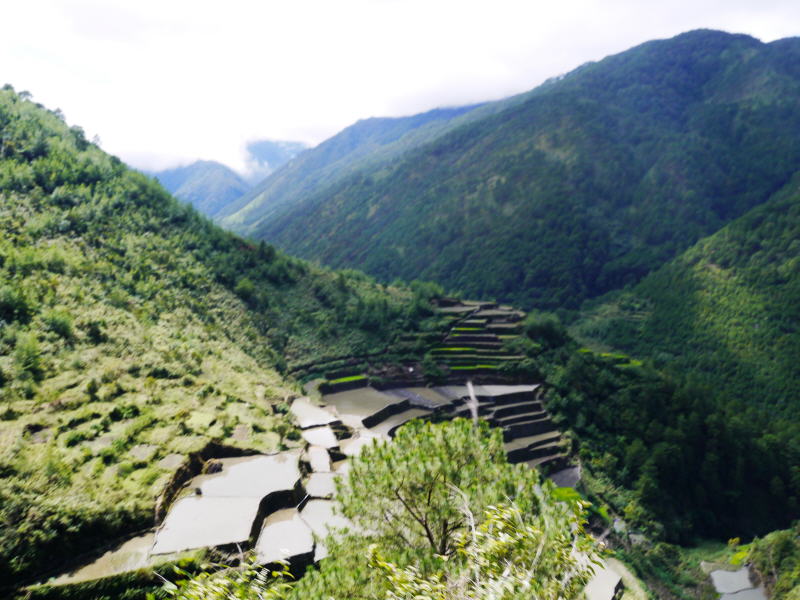 Pictures from the Philippines