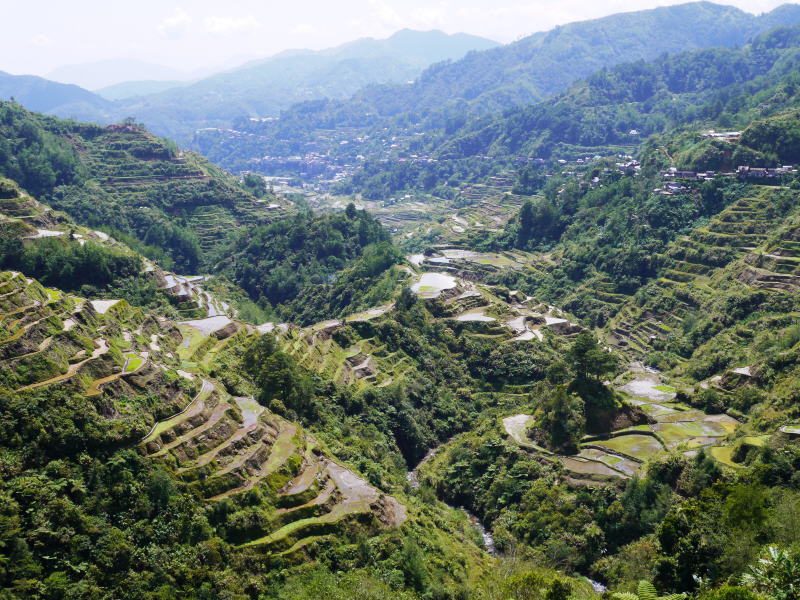 Pictures from the Philippines