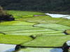 Pictures from the Philippines