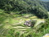Pictures from the Philippines