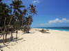 Pictures from the Philippines