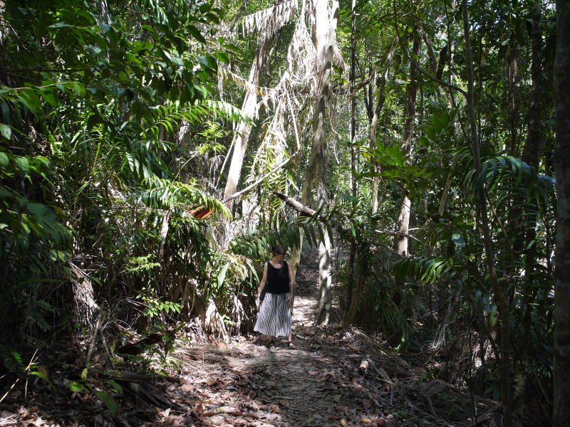 Pictures from Sabah (Borneo)