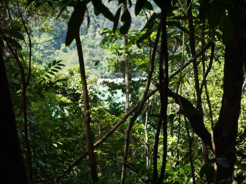 Pictures from Sabah (Borneo)