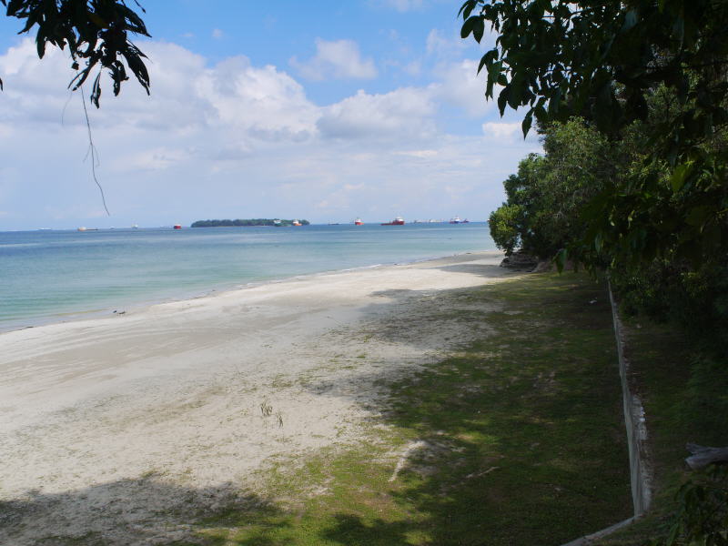 Pictures from Sabah (Borneo)