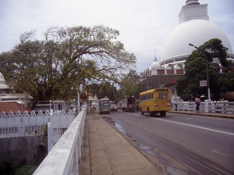 Pictures from Sri Lanka