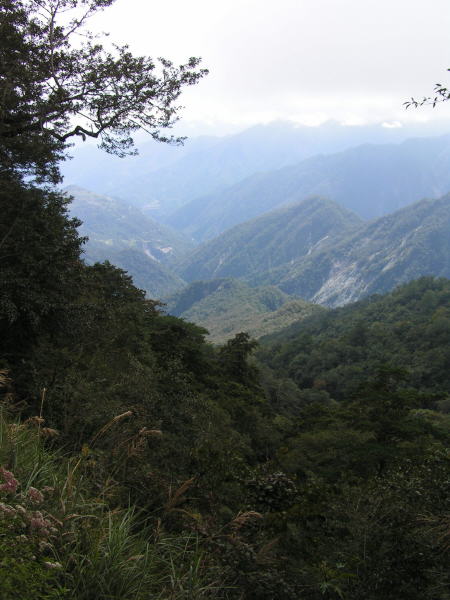 Pictures from Taiwan