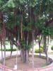 Pictures from Taiwan