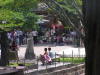 Pictures from Taiwan