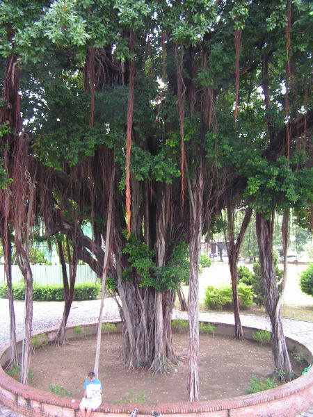 Pictures from Taiwan
