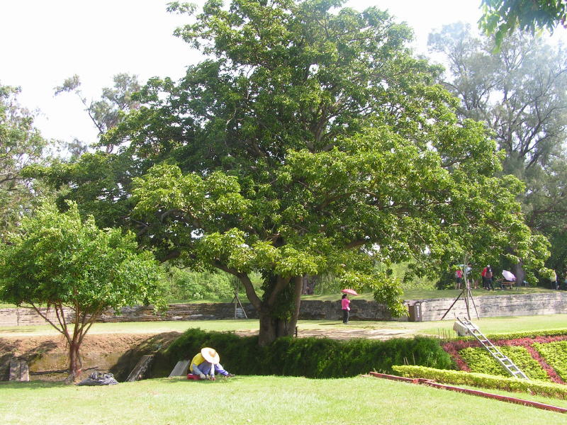 Pictures from Taiwan