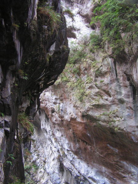 Pictures from Taiwan