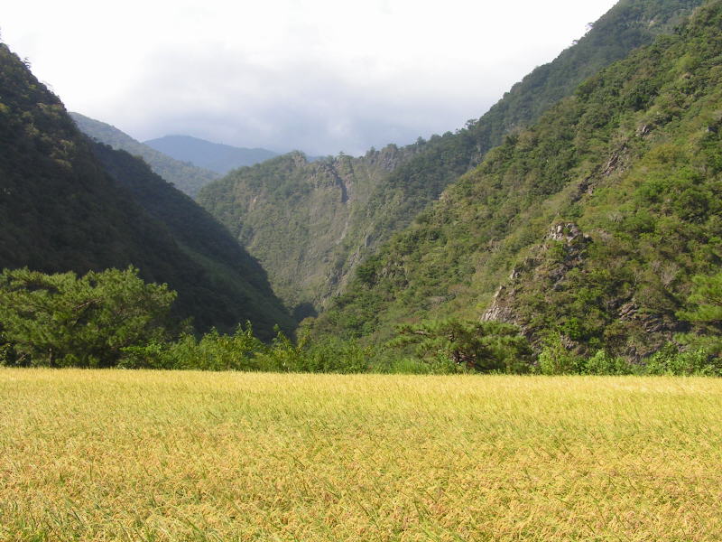 Pictures from Taiwan