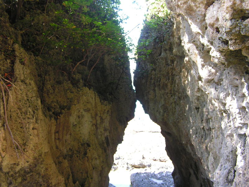 Pictures from Taiwan