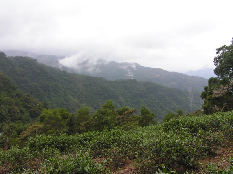 Pictures from Taiwan