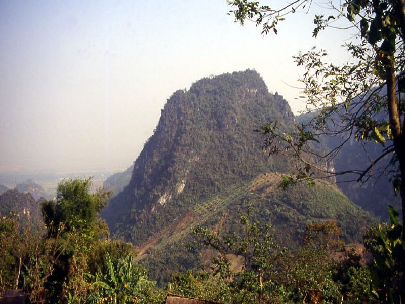 Pictures from Thailand