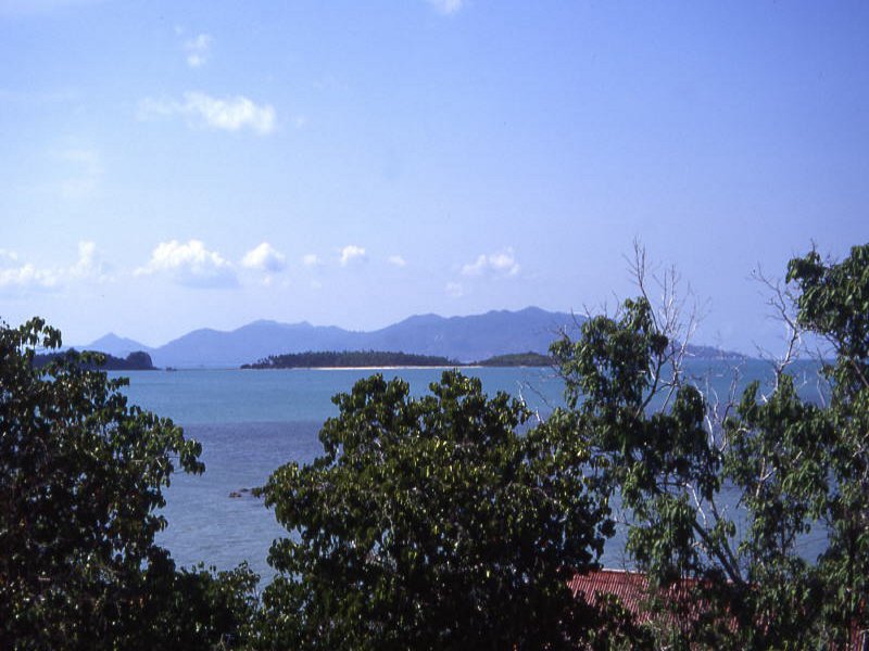 Pictures from Thailand