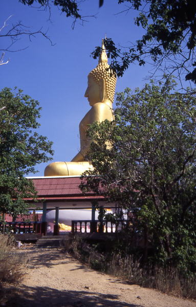 Pictures from Thailand