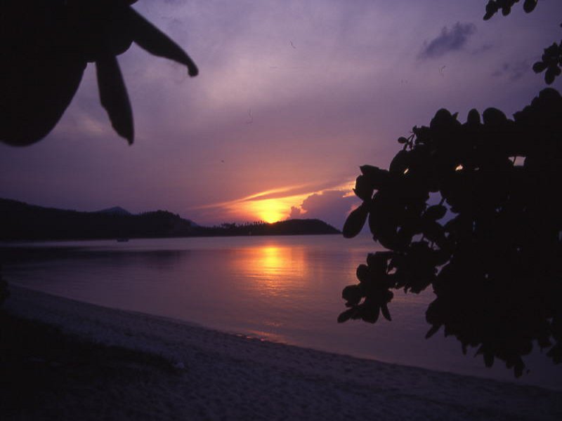 Pictures from Thailand