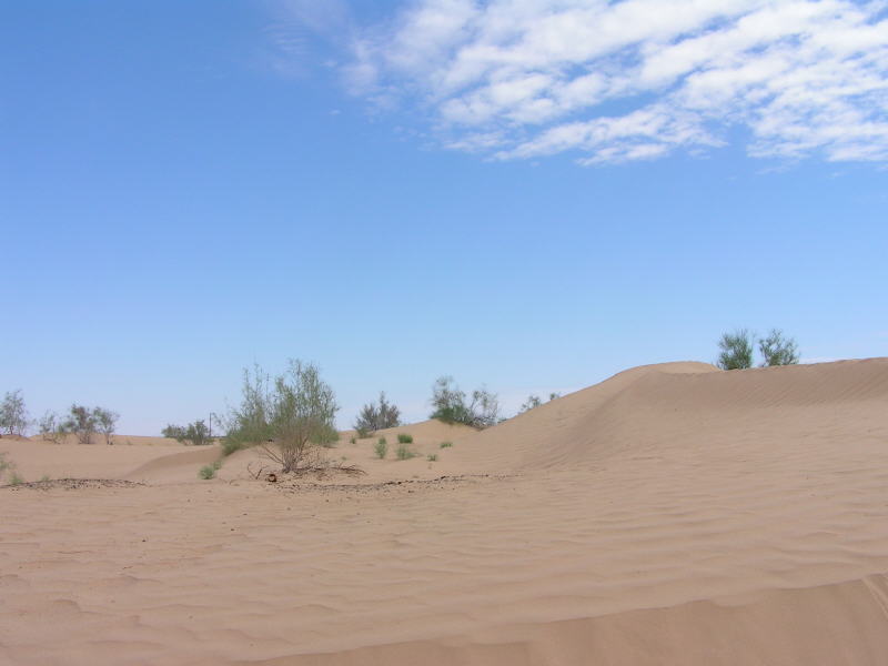 Pictures from Uzbekistan