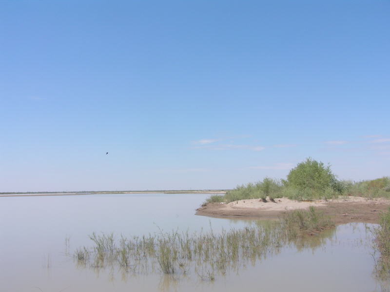 Pictures from Uzbekistan