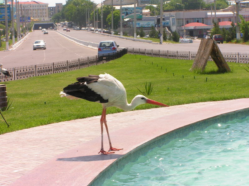 Pictures from Uzbekistan