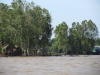 Pictures from Vietnam