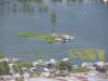 Pictures from Vietnam